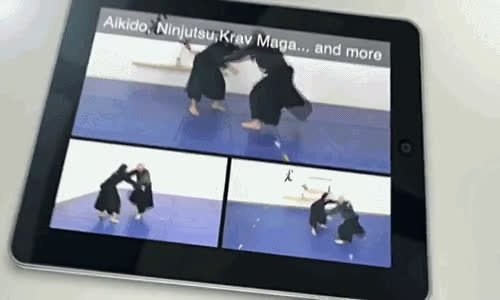 anigifiBudokan's Kyokushin.mp4